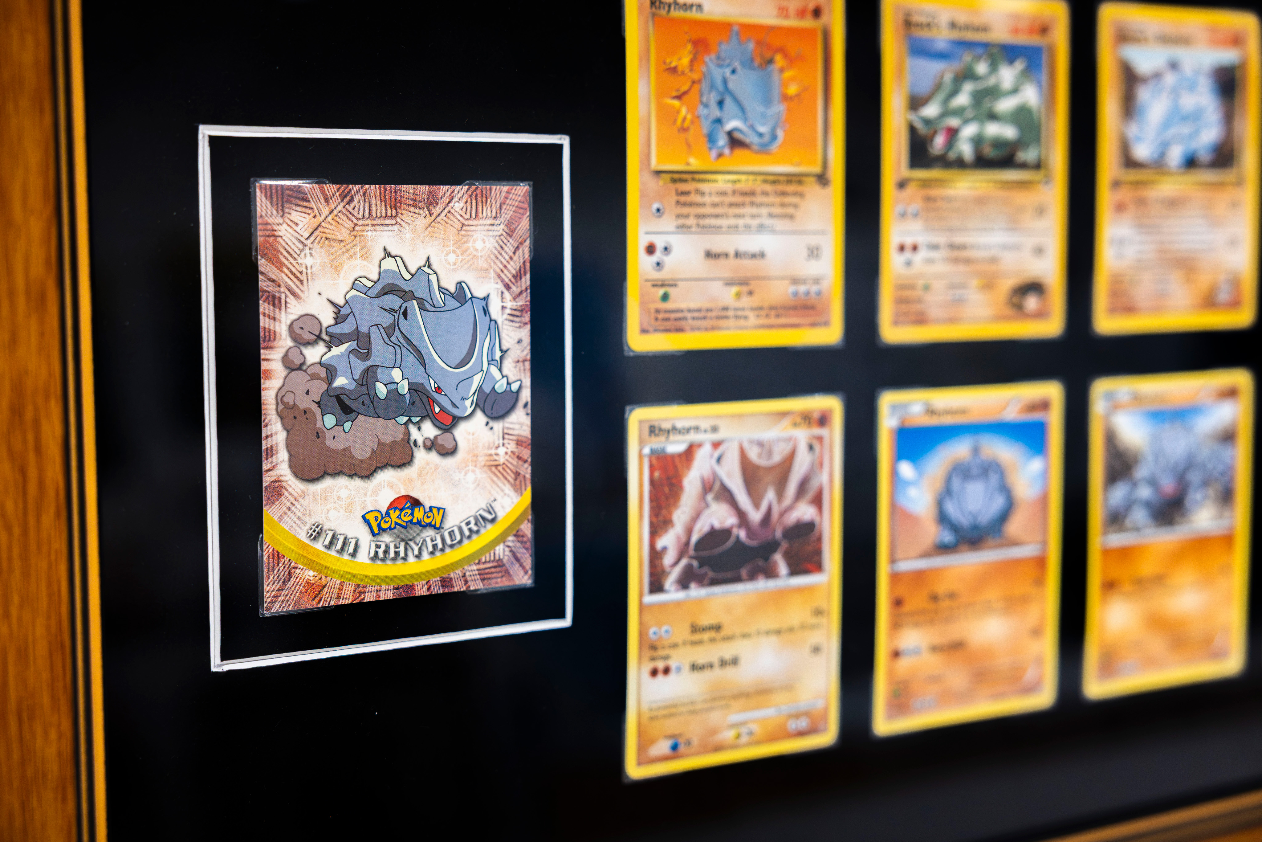 A Childhood Memory, Framed: A Custom Pokémon Master Set 260707-Pokemon_framed_9_sml_1785219943311.jpg