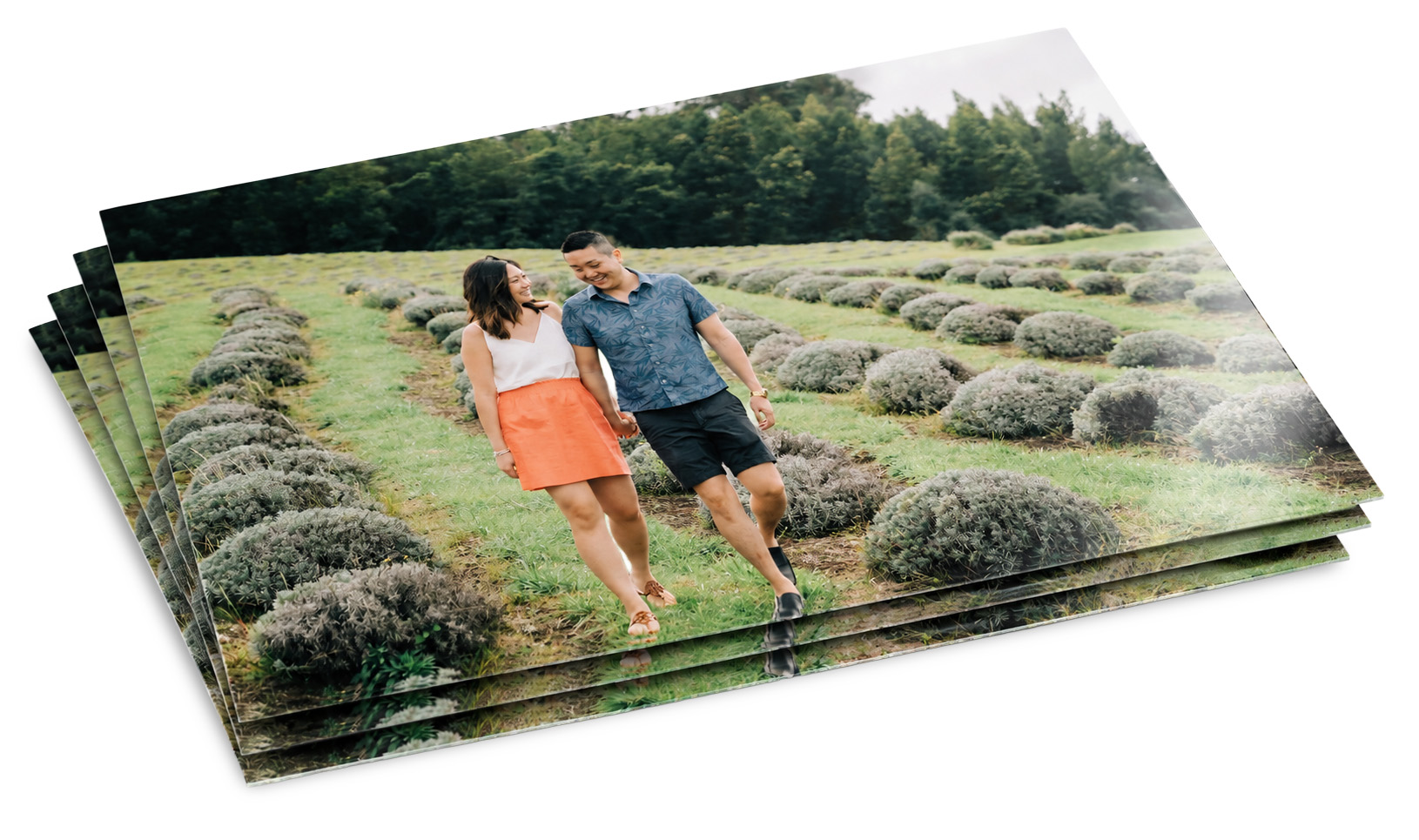 Semi-gloss_just_the_print_print_medium_thumbnail_1789107178745.jpg