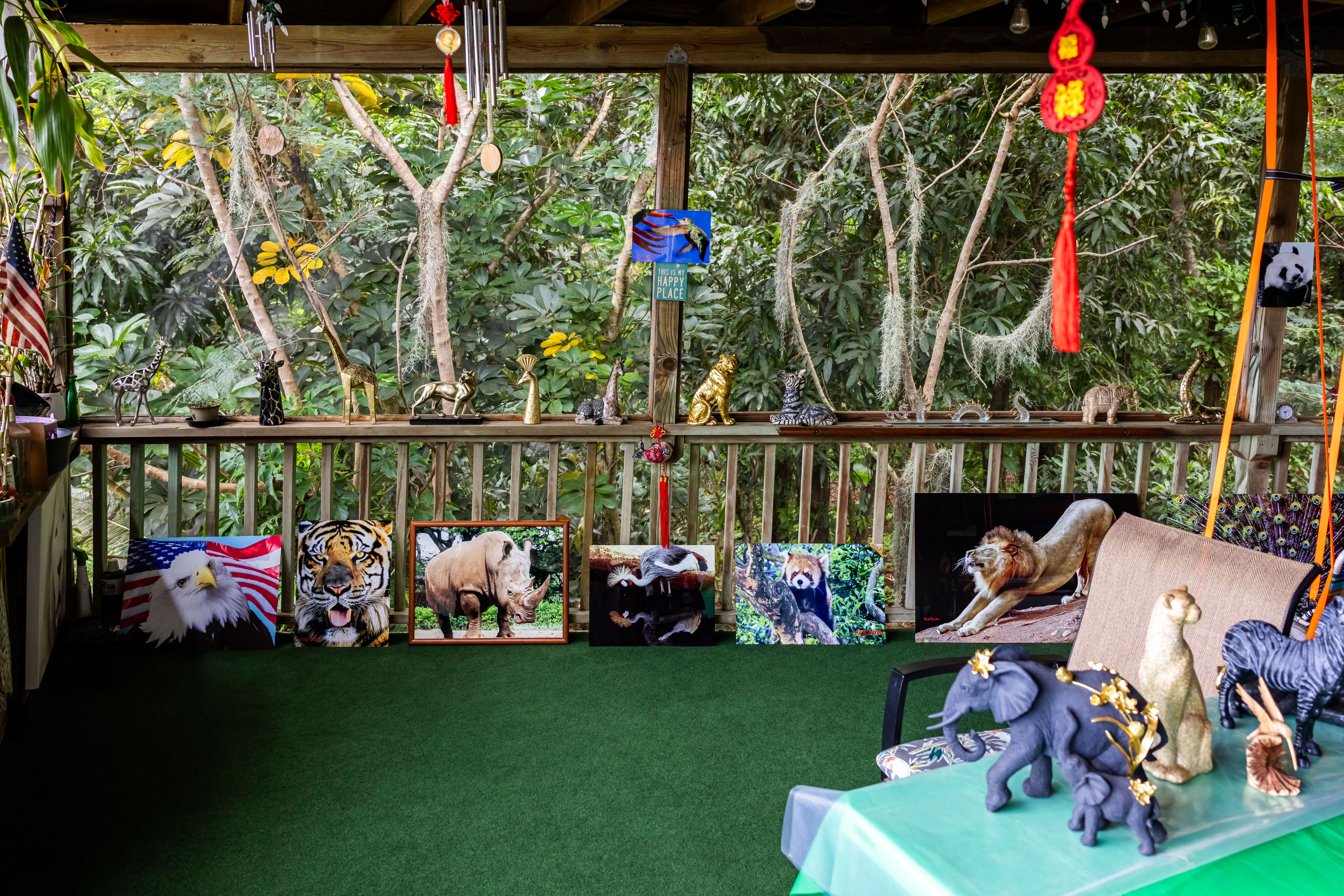 Wildlife photography print display