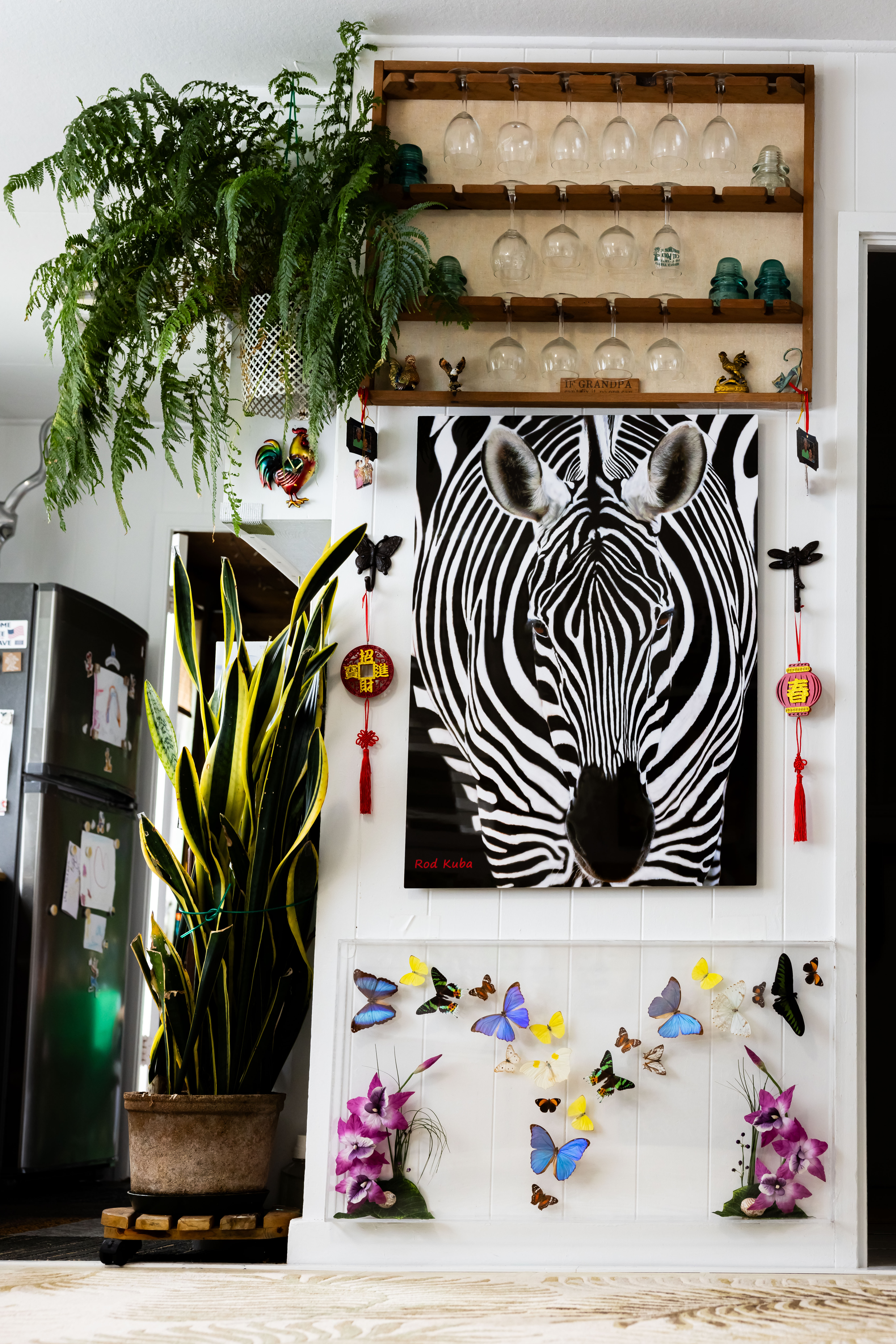 Zebra photography wall art