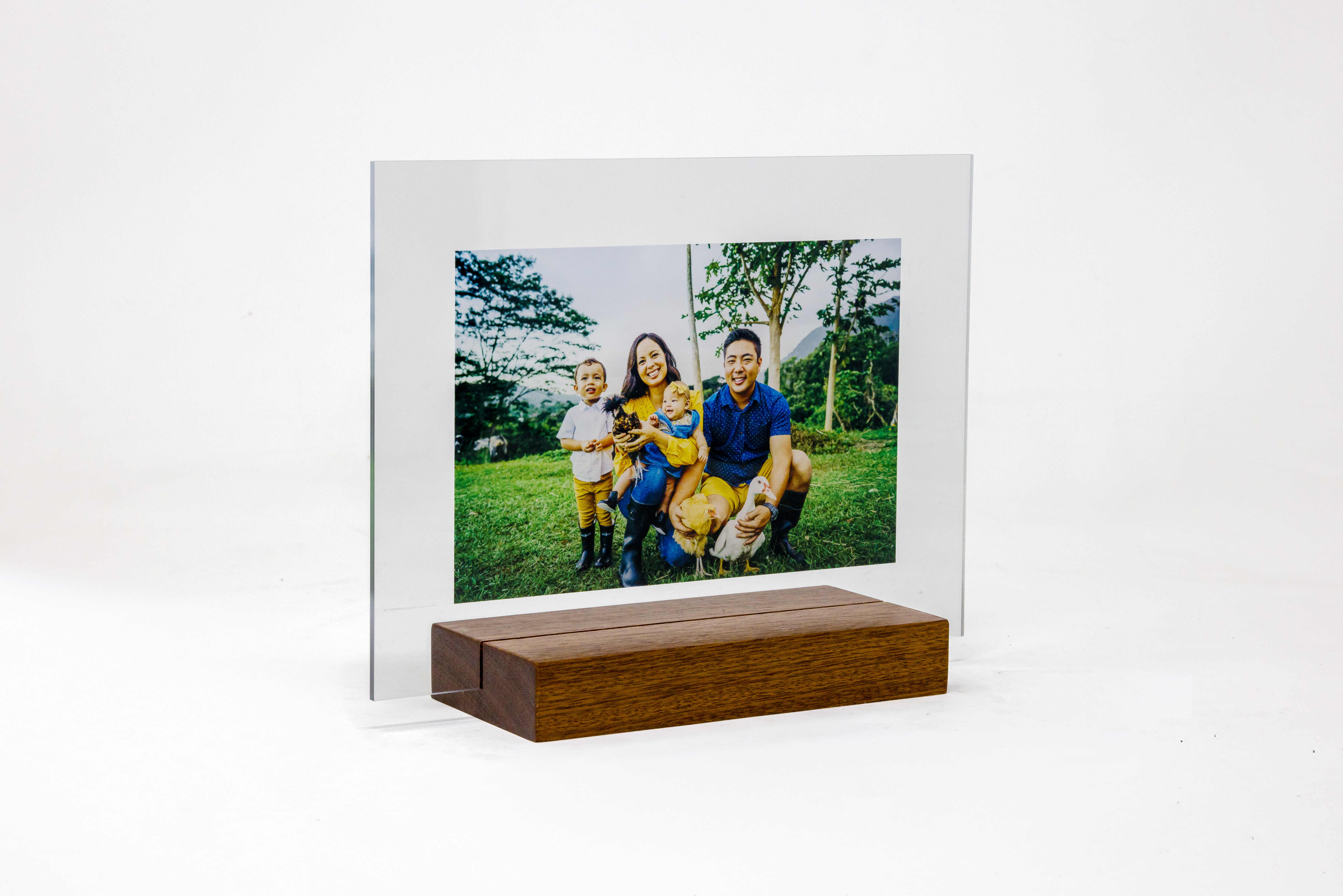 Acrylic Prints