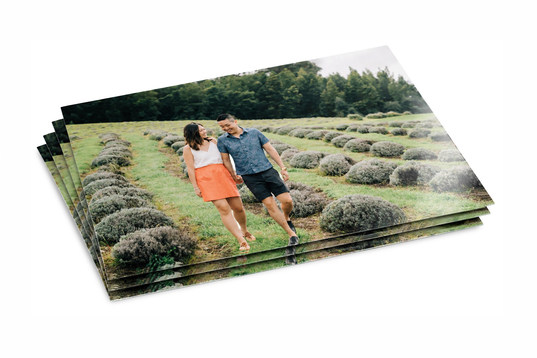 Semi-Gloss Paper Prints