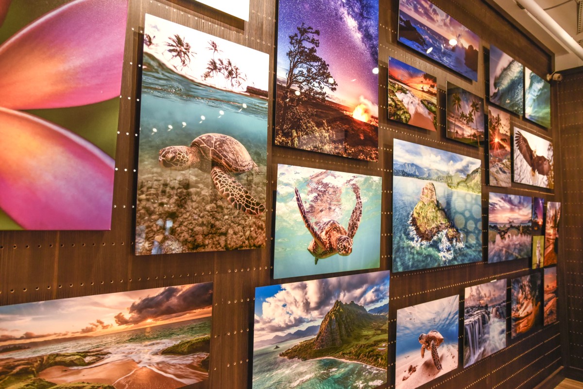 Metal Prints Image