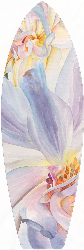 Wall Flower | MW003