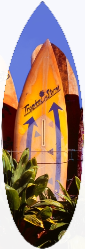 Where Old Surfboards Go | RJB002