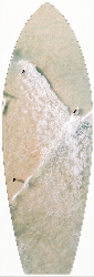 White Bird | MK064