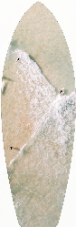 White Bird | MK064