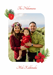 Mele Kalikimaka Flowers
