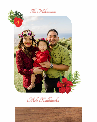 Mele Kalikimaka Flowers