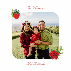 Mele Kalikimaka Flowers