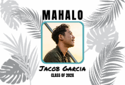 Tropical Modern Mahalo