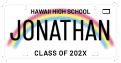 Rainbow License Plate