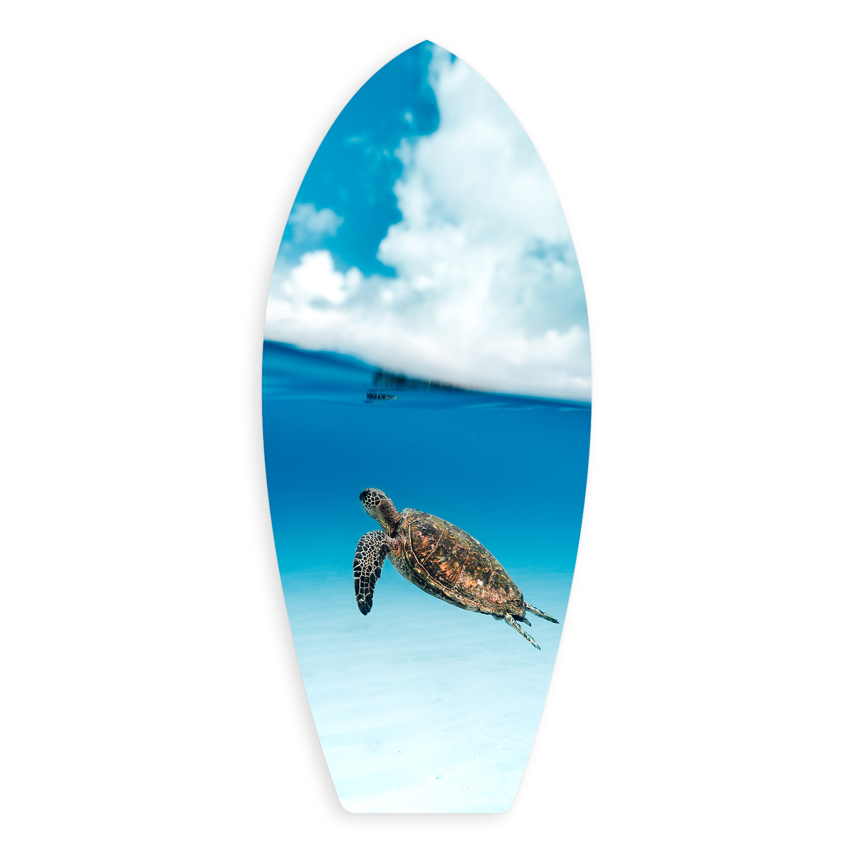 Art Metal Surfboard Prints