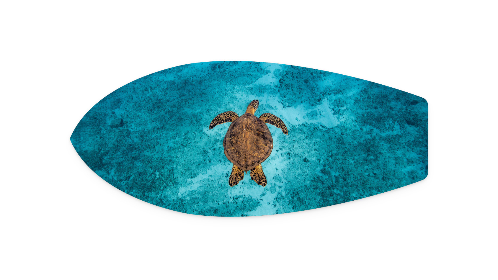 https://d3f5qiys56eexy.cloudfront.net/images/product/A_Honu_World_MK034_Metal_surfboard_21x9_thumbnail.jpg
