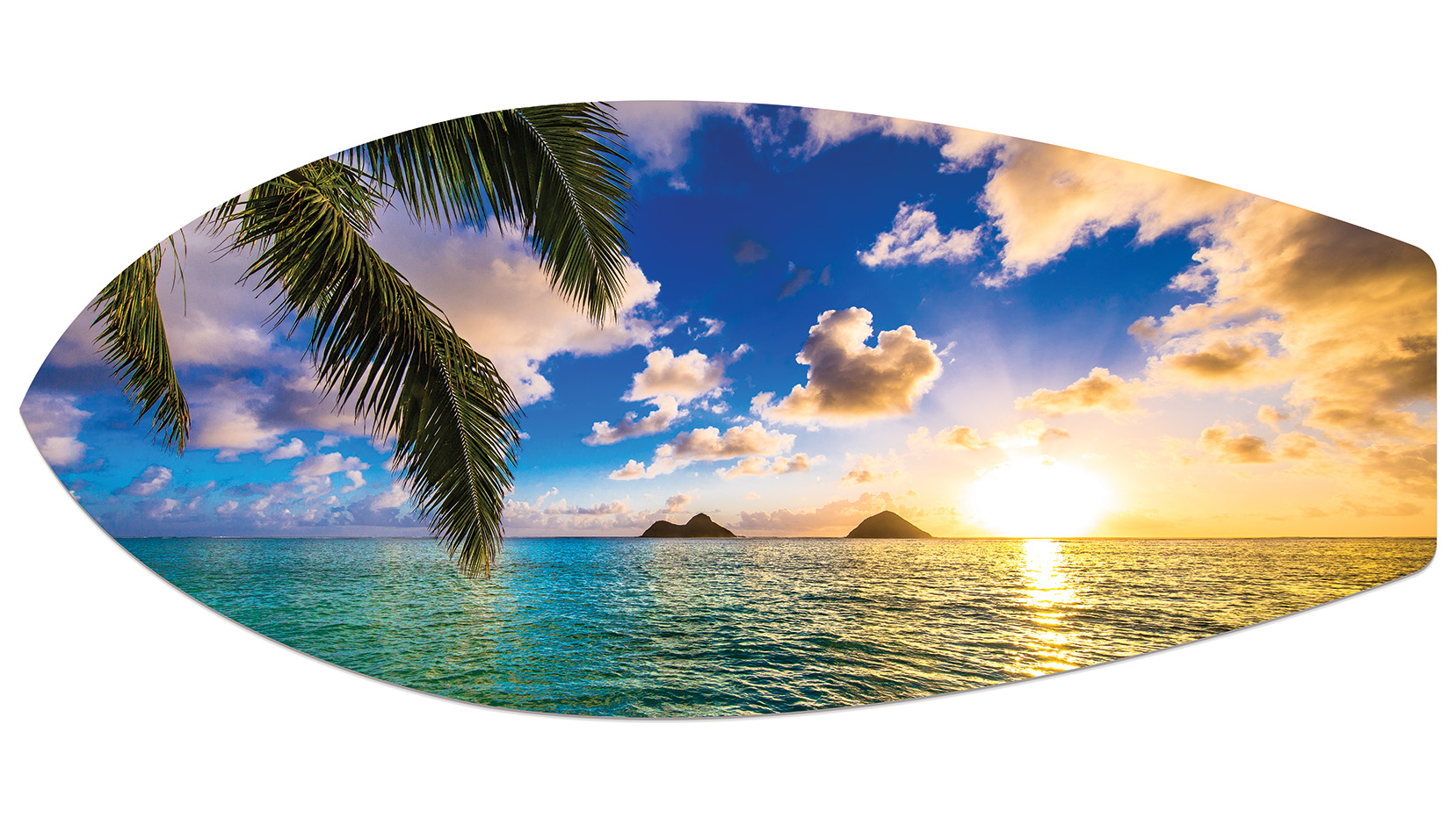 Adventure | SM061 Metal Surfboard Print