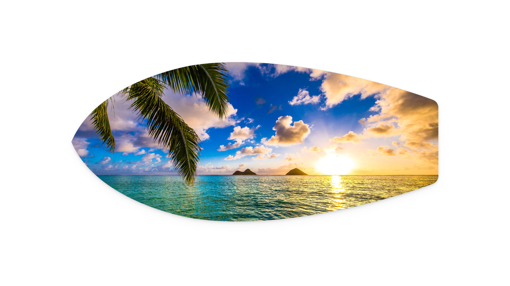https://d3f5qiys56eexy.cloudfront.net/images/product/Adventure_SM061_Metal_surfboard_21x9_thumbnail.jpg
