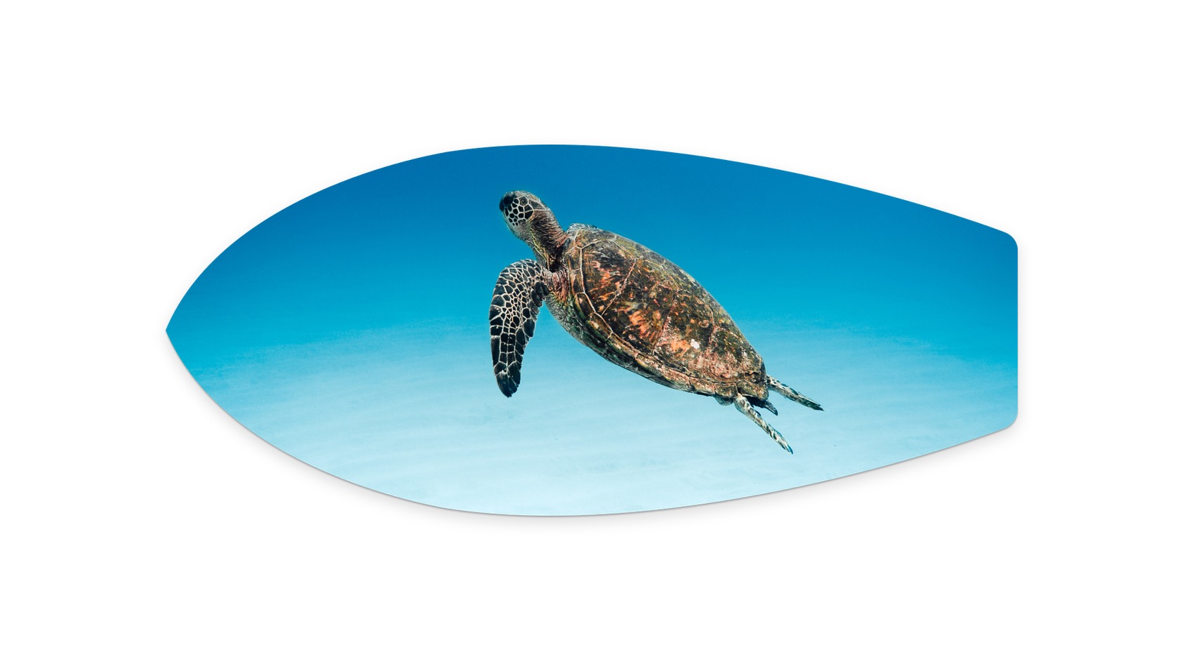 https://d3f5qiys56eexy.cloudfront.net/images/product/Ascending_KK16_Metal_Surfboard_Print_21x9_thumbnail_03381430202603.jpg