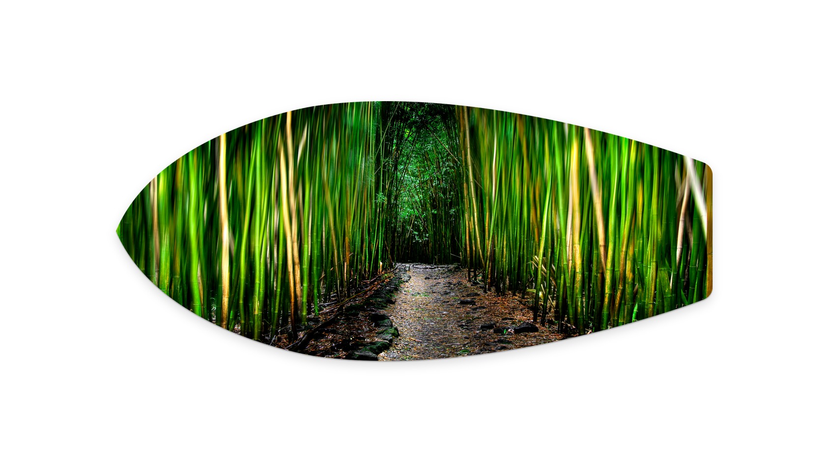 Bamboo Dance | RJB001 Metal Surfboard Print