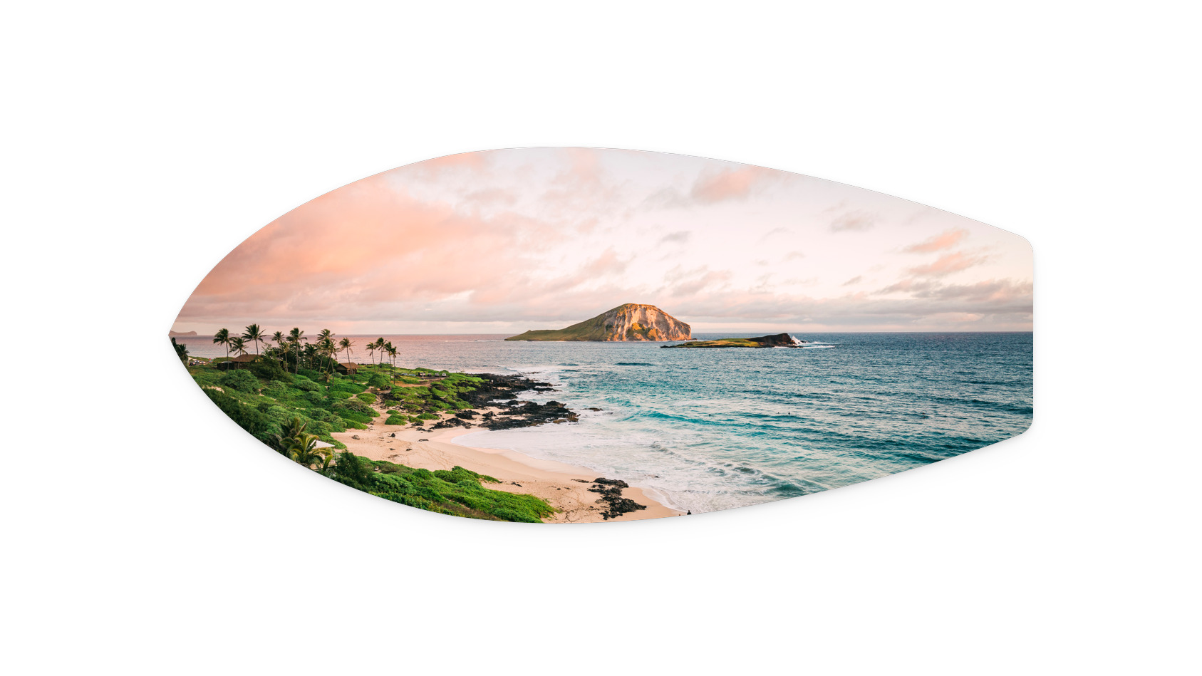 Early Bird | MK043 Metal Surfboard Print