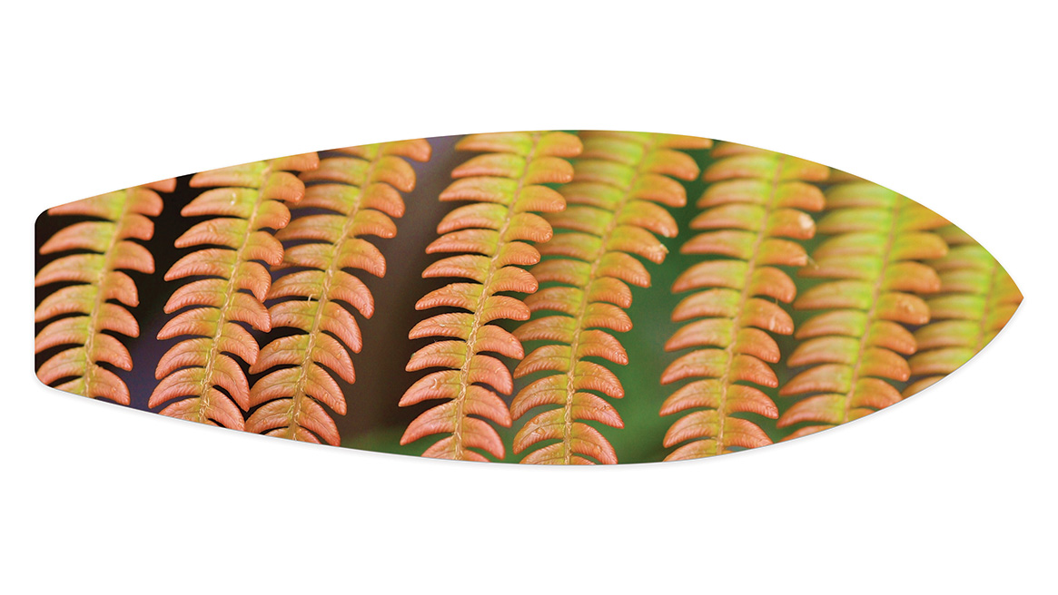 60"x20"