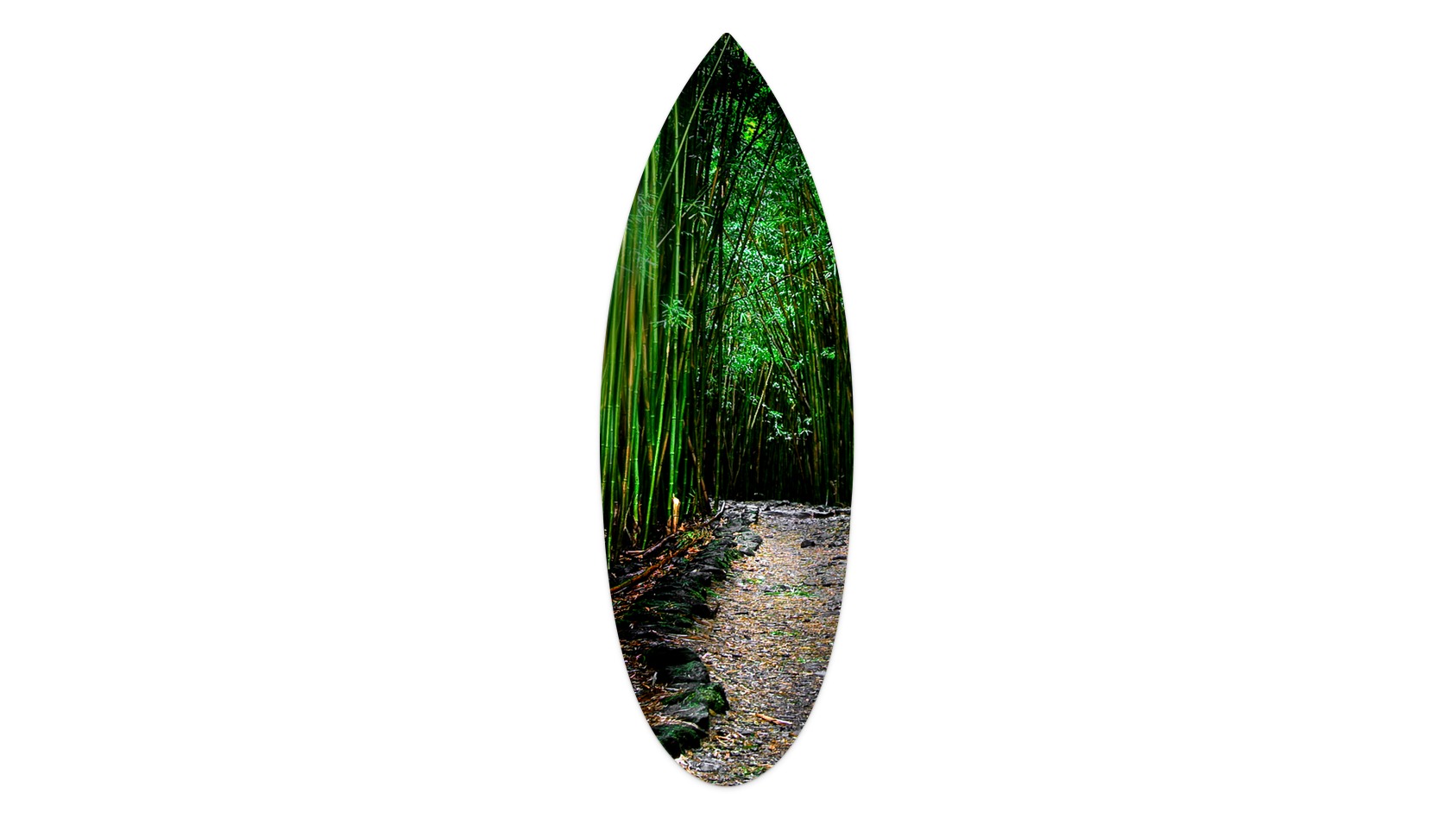 16"x48"