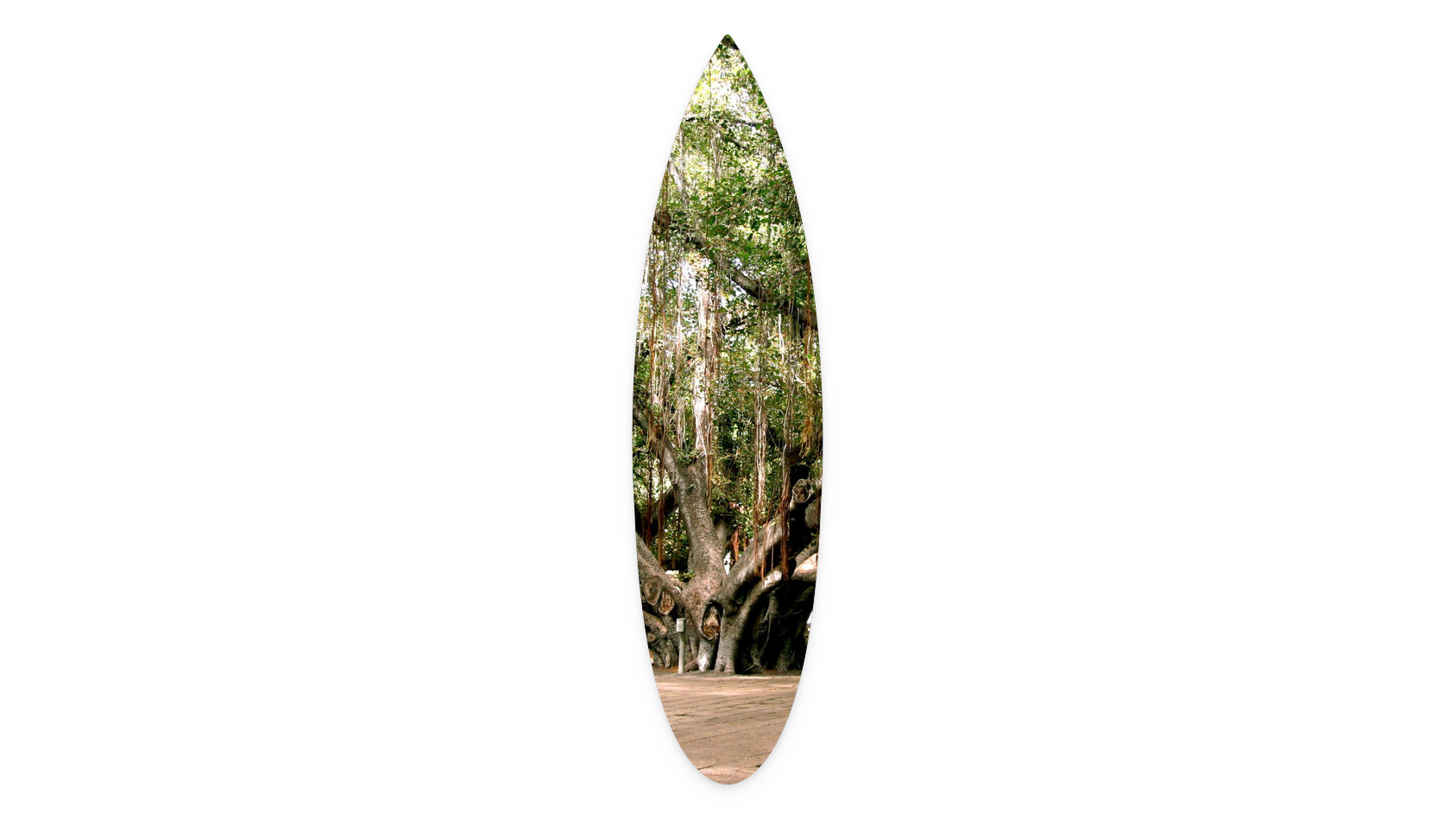 11"x44"