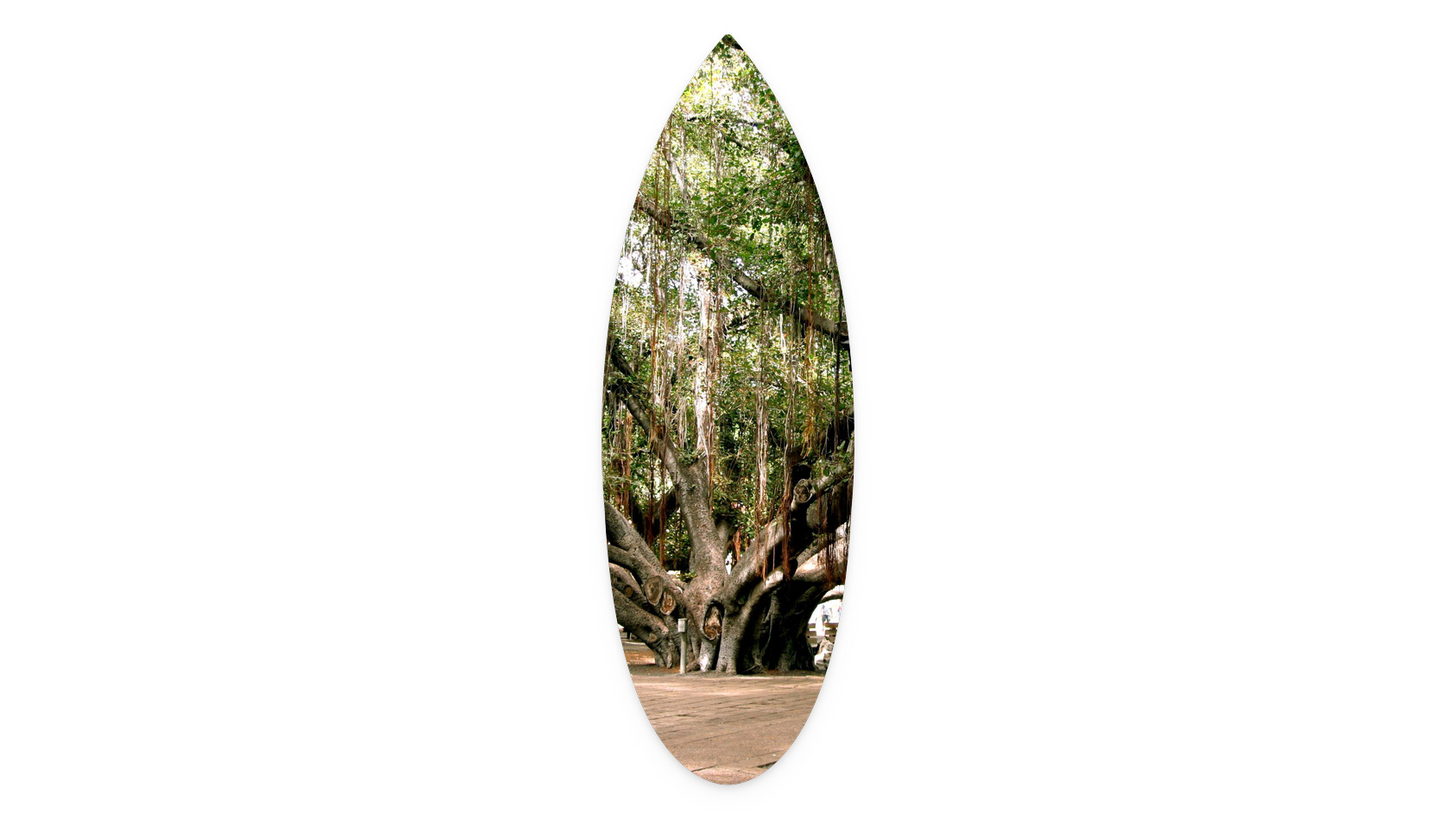 16"x48"