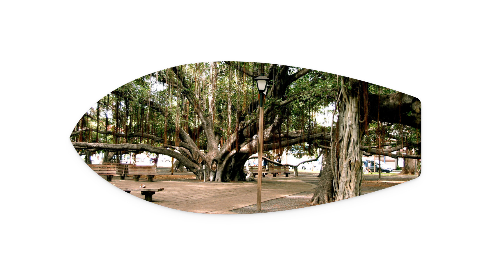21"x9"