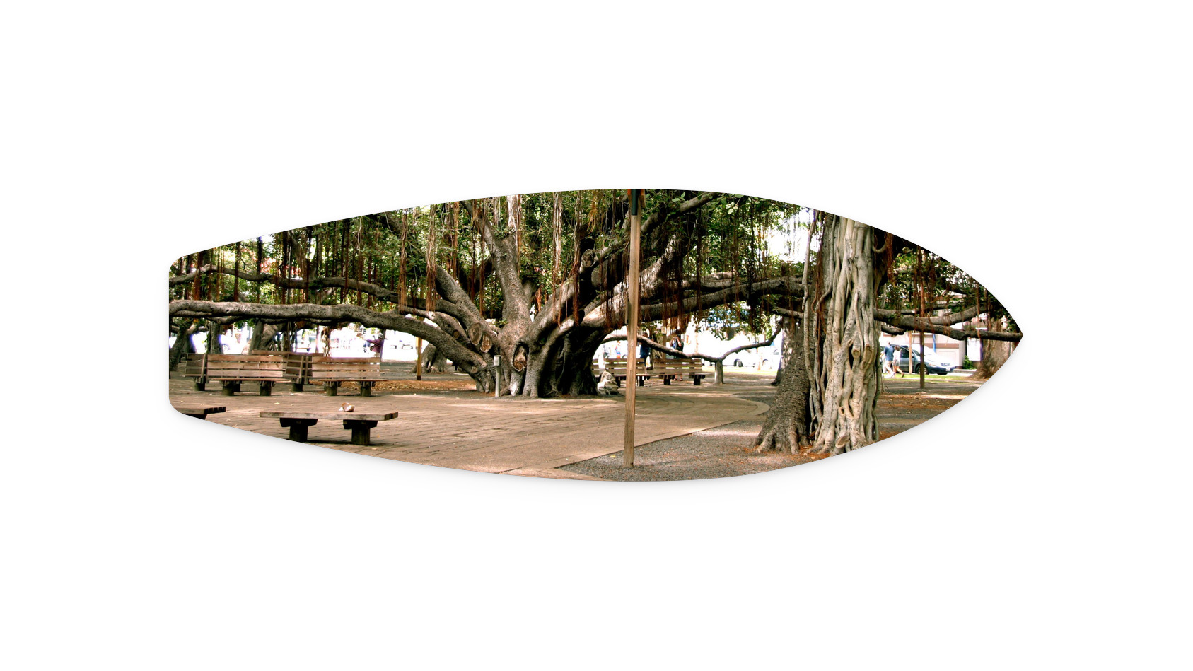 36"x12"
