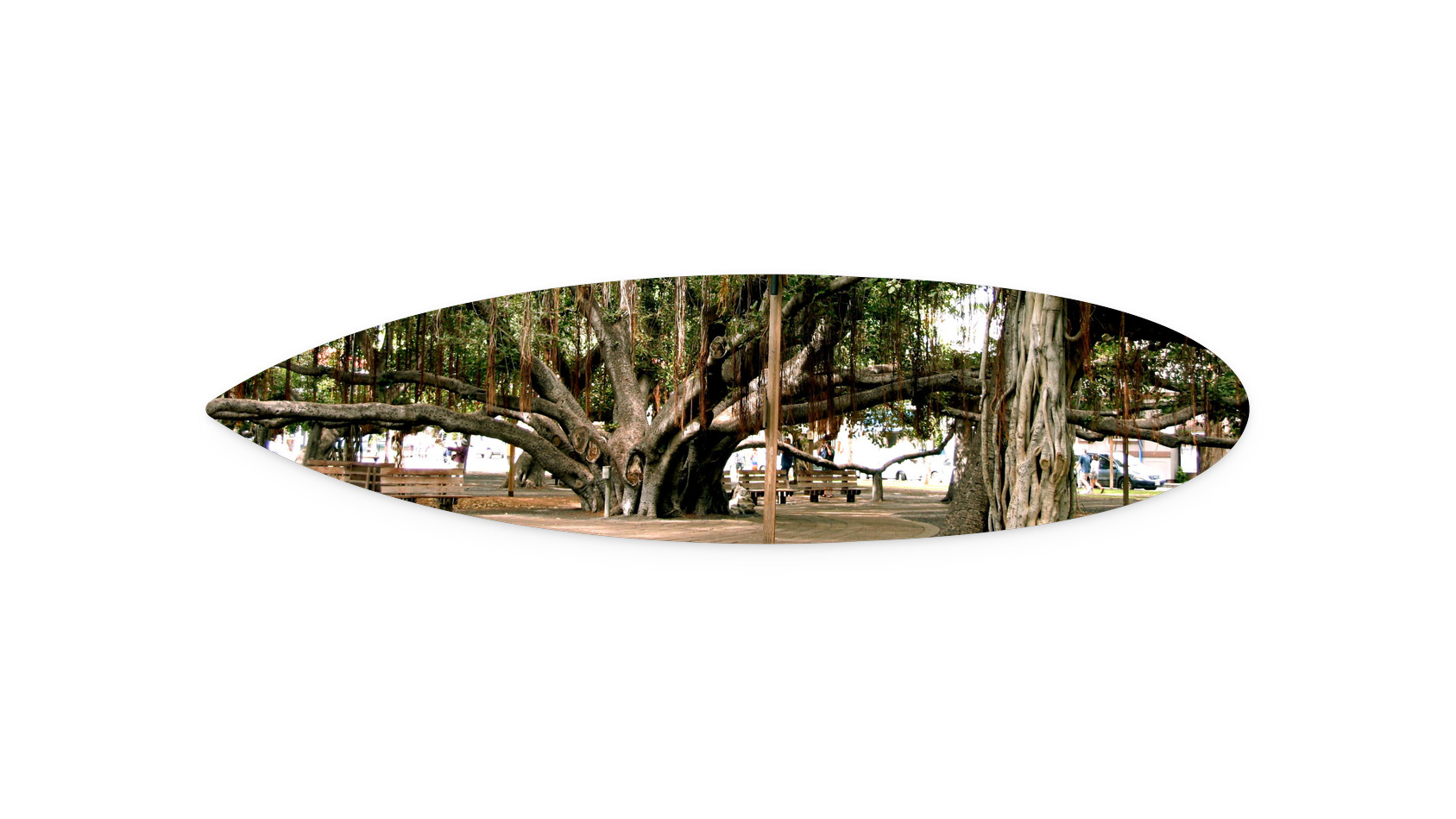 44"x11"