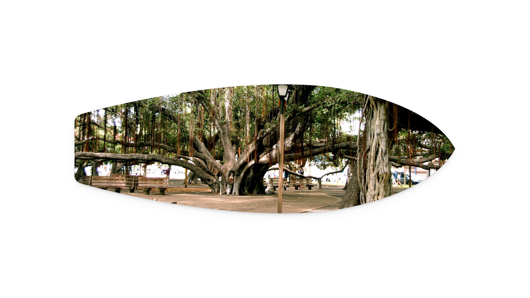 54"x18"