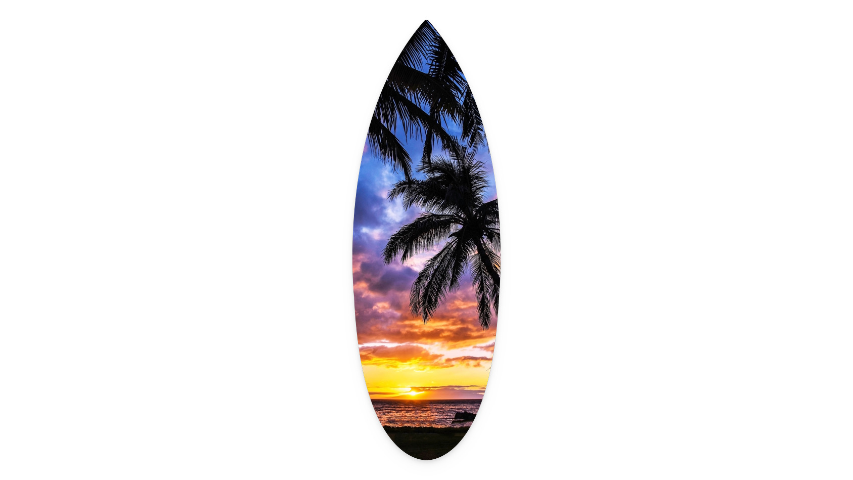 16"x48"