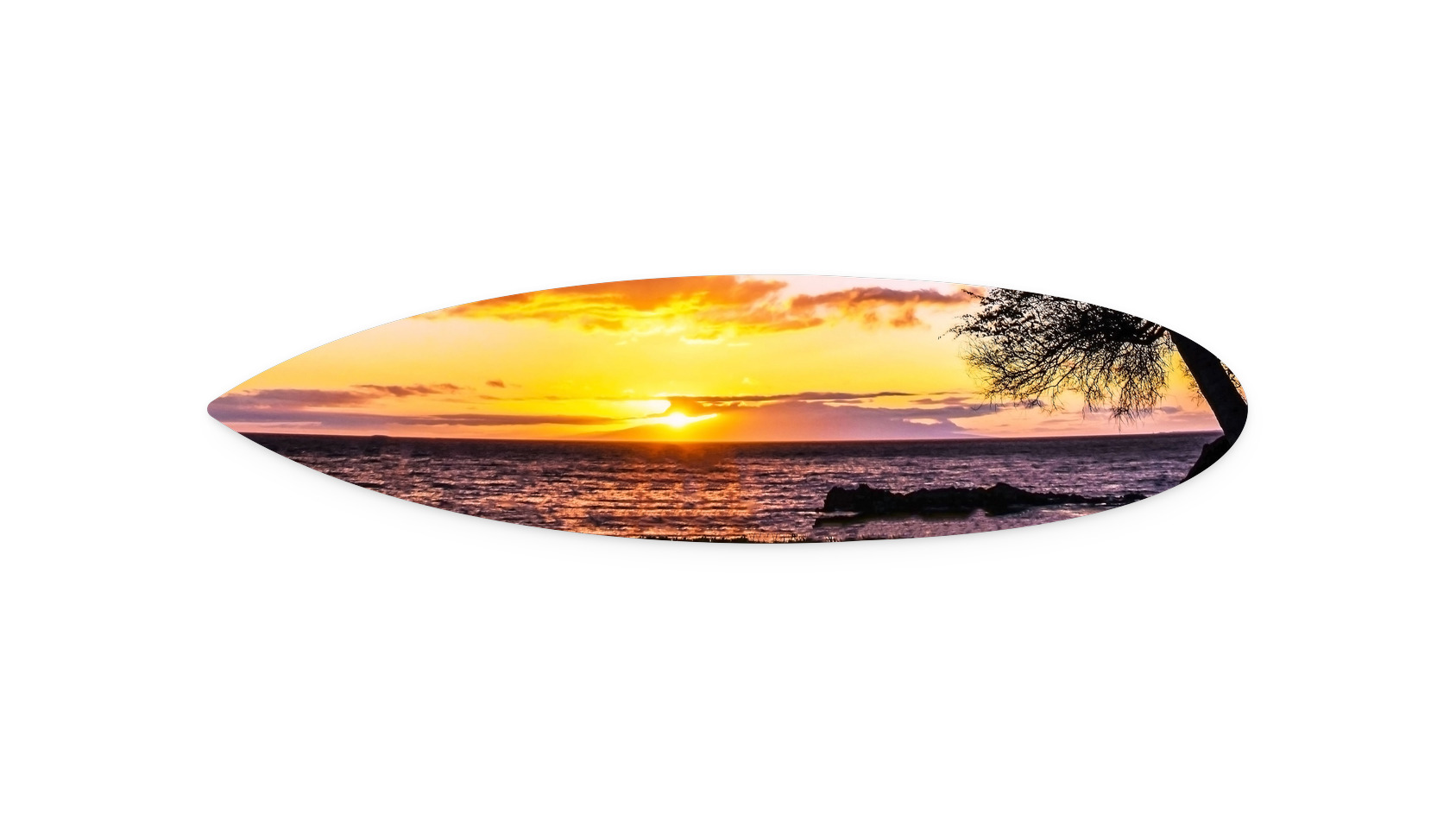 44"x11"