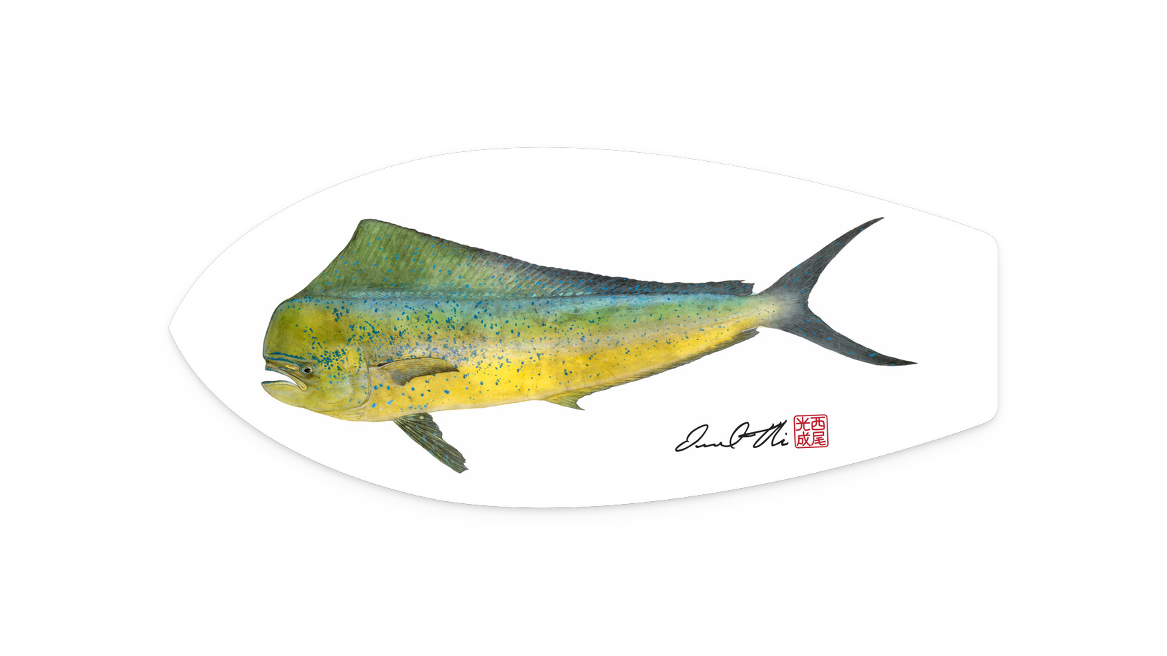 21"x9"