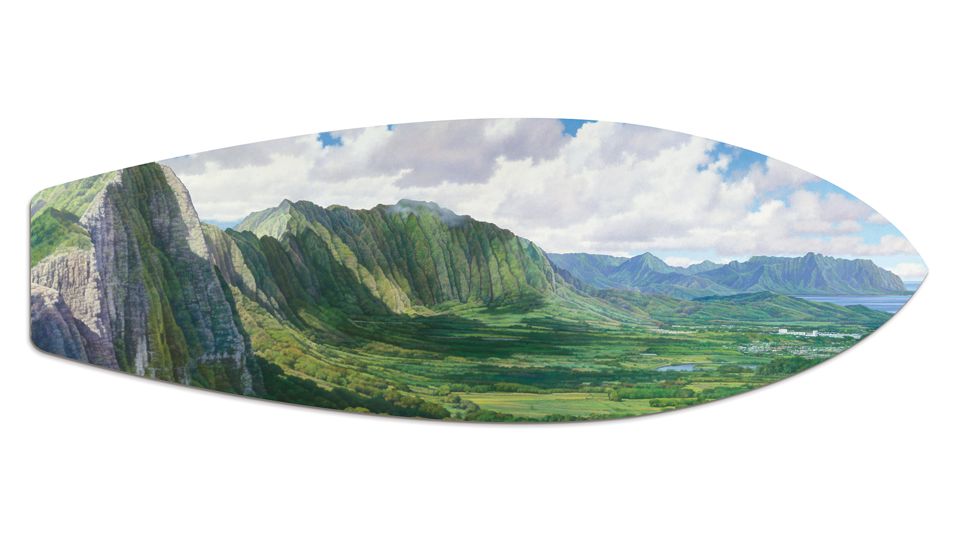 60"x20"