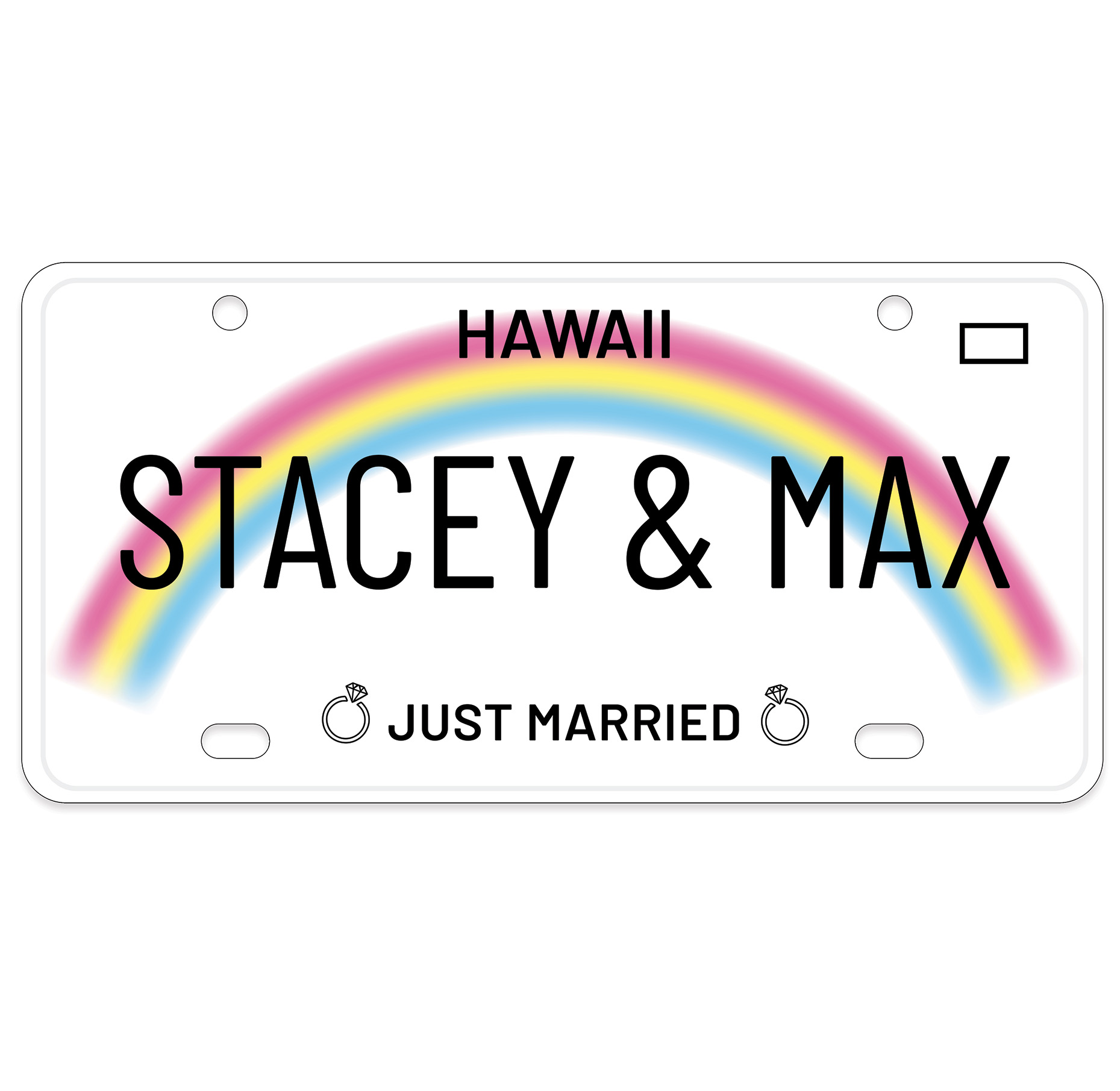 12"x6" License Plate