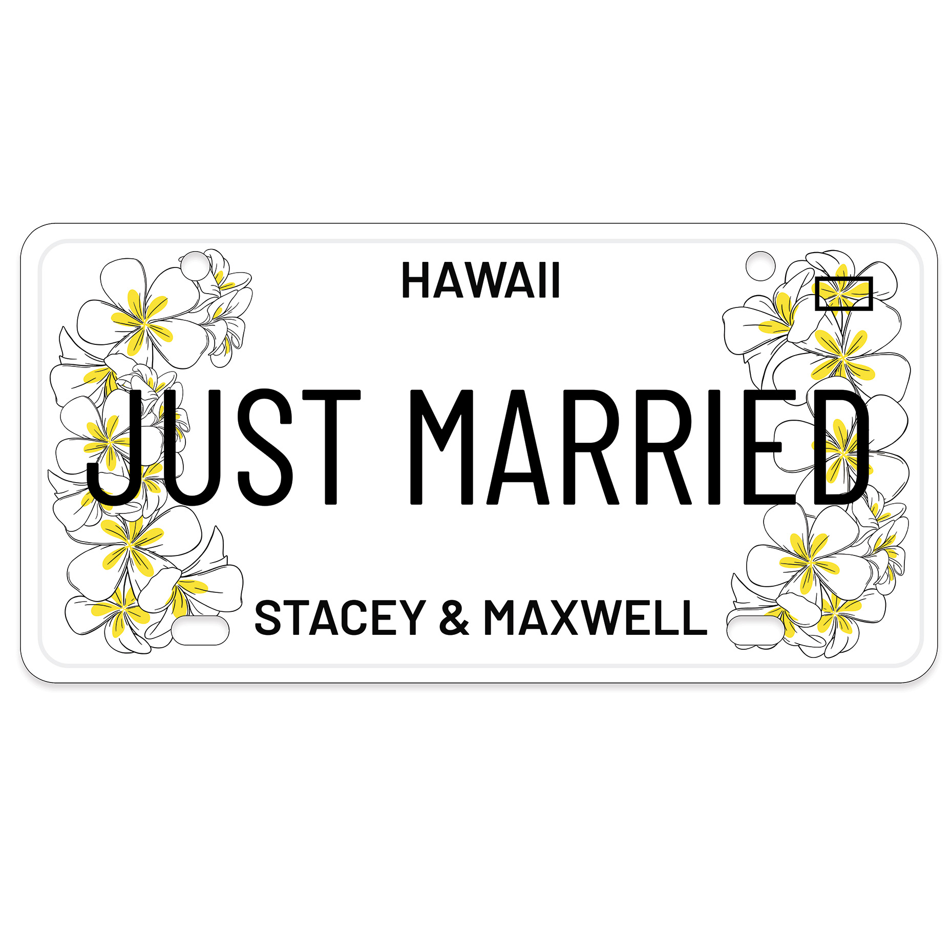 36"x18" License Plate
